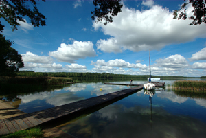 Chojnice